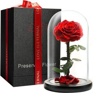 Forever Preserved Rose - Eternal Rose in Glass Dome - Beauty and The Beast Rose